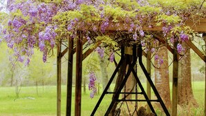 A swing set with a wooden seat and metal frame, surrounded by purple flowers and greenery. - Quaint 4 Bedroom Farmhouse near Round Top, New Ulm (Cat Spring)