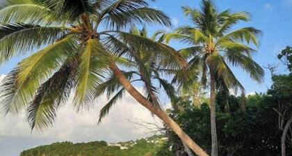 Le Carambole<br>Quartier anse bellune<br>Rue la bellune Trinité 97220