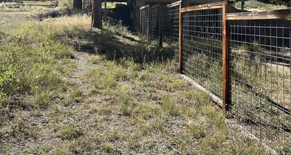 Escape to cozy Cotopaxi cabin, just a quick drive away from Arkansas River