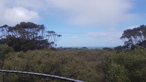 Beach/ocean view - Stunning Sea Views on Surf (CAPE PATERSON)
