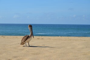 In Strandnähe