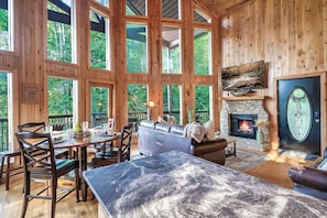 Smart TV, fireplace, video games, books