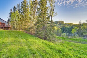 Escape to a serene forest retreat with a tranquil cabin nestled among tall evergreen trees.