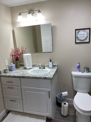 A bathroom with a white sink, vanity, and mirror. There is a framed sign on the wall, a toilet, and a trash can. - Newly Finished 3bed 2 bath (Basement Apartment) (Cedar City)