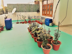 Un jardin sur le toit, avec des plantes en pot et une antenne parabolique.