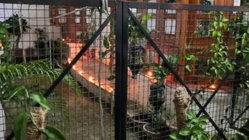 Enceinte de l’hébergement