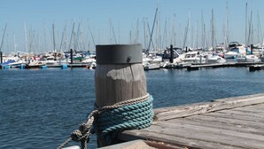 Een houten steiger met een touw aan een paal, een jachthaven met verschillende boten, en rustig water.