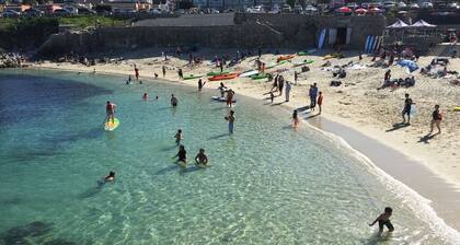 Saltbox - Pacific Grove House - Two Blocks to Beach and Downtown!