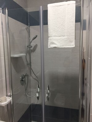 Shower, hair dryer, bidet, toilet paper