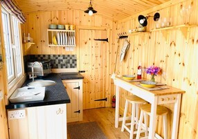 Cabin | Private kitchen | Fridge, oven, stovetop, electric kettle