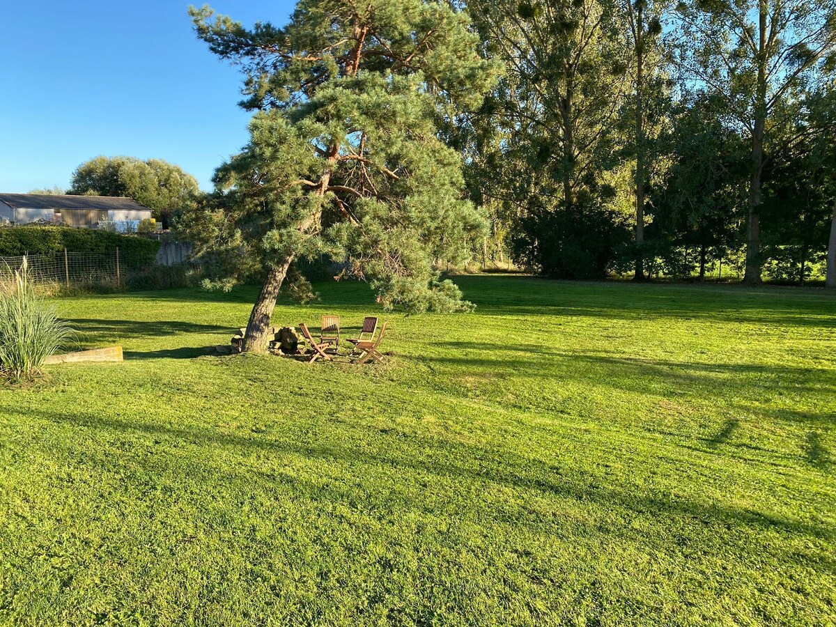 Värdens profilbild
