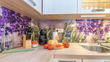 Family House, 2 Bedrooms, Mountainside (Holiday Home Kastav) | Private kitchen | Fridge, oven, stovetop, dishwasher