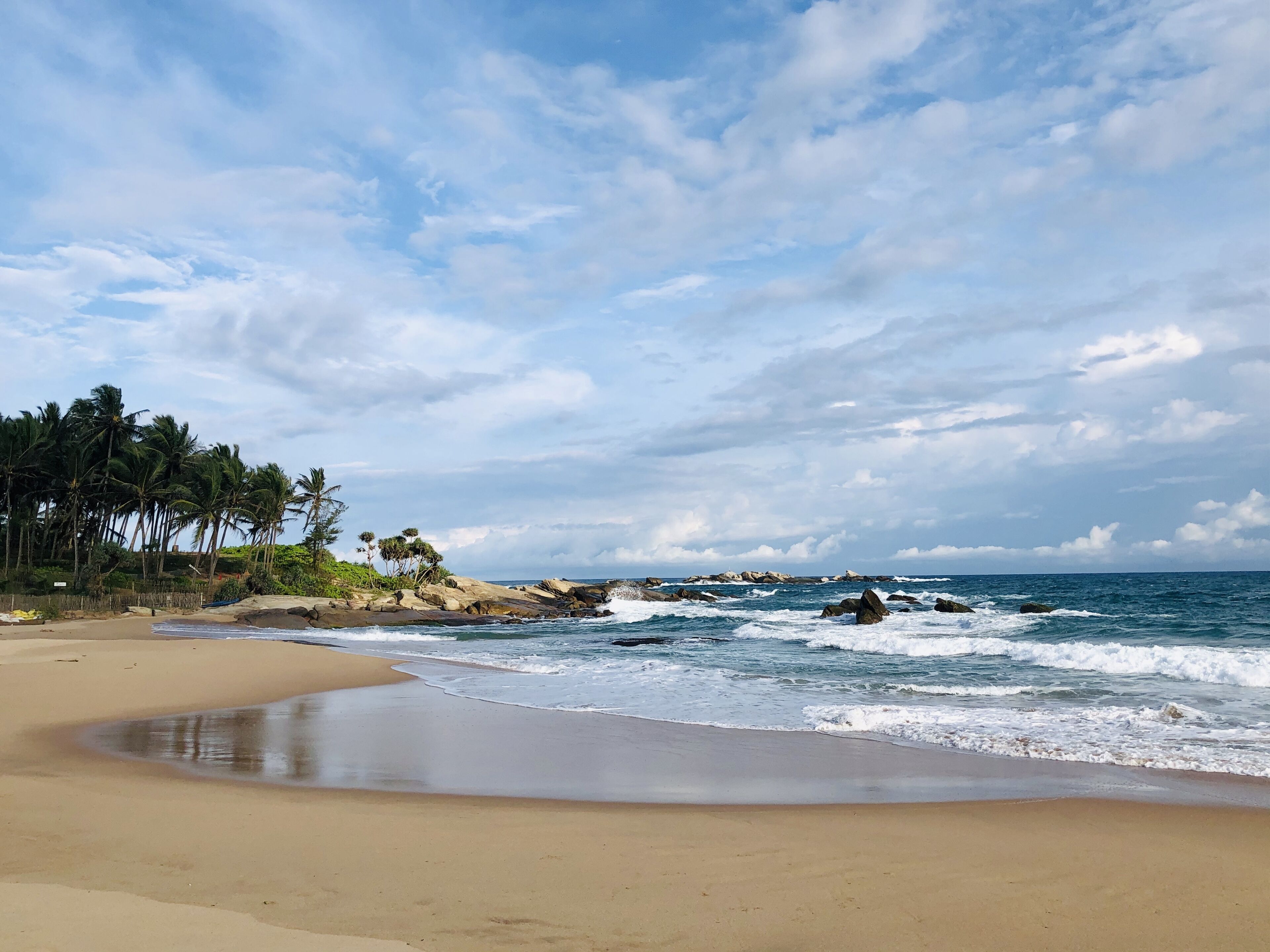 A beach with a sandy shore, palm trees, and rocky outcrops in the ocean.