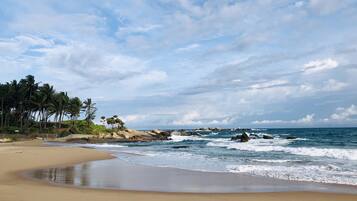 A beach with a sandy shore, palm trees, and rocky outcrops in the ocean.