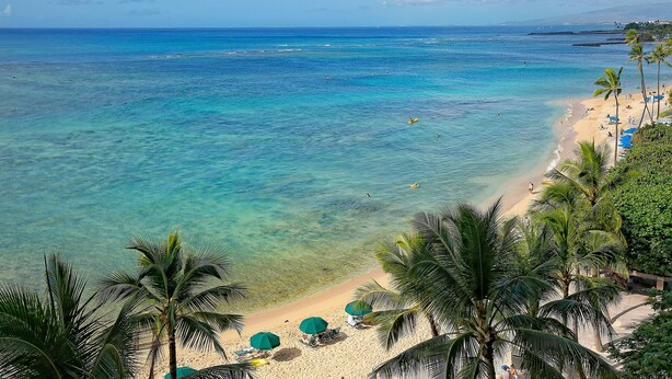 A beach with clear turquoise water, palm trees, and beach umbrellas.