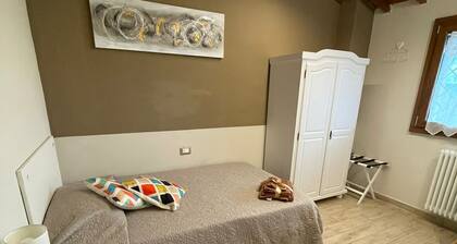 The House of Swallows