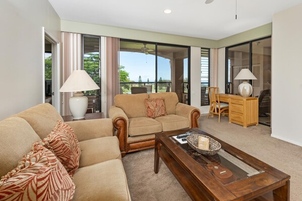 TV, DVD player, books, stereo