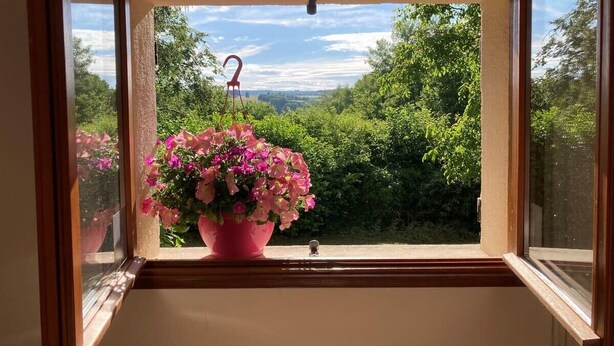 Ein Fenster mit einem rosa Blumentopf auf einem Sims, einem Holzrahmen und Blick ins Grüne.