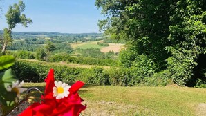 Ein Garten mit einer roten Blume im Vordergrund und einer grünen Landschaft im Hintergrund.