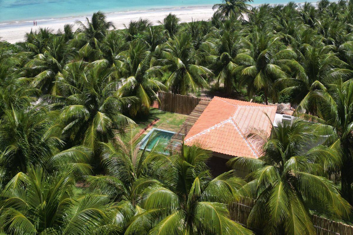 A tropical beach with dense palm trees, a sandy beach, and a clear blue sky.