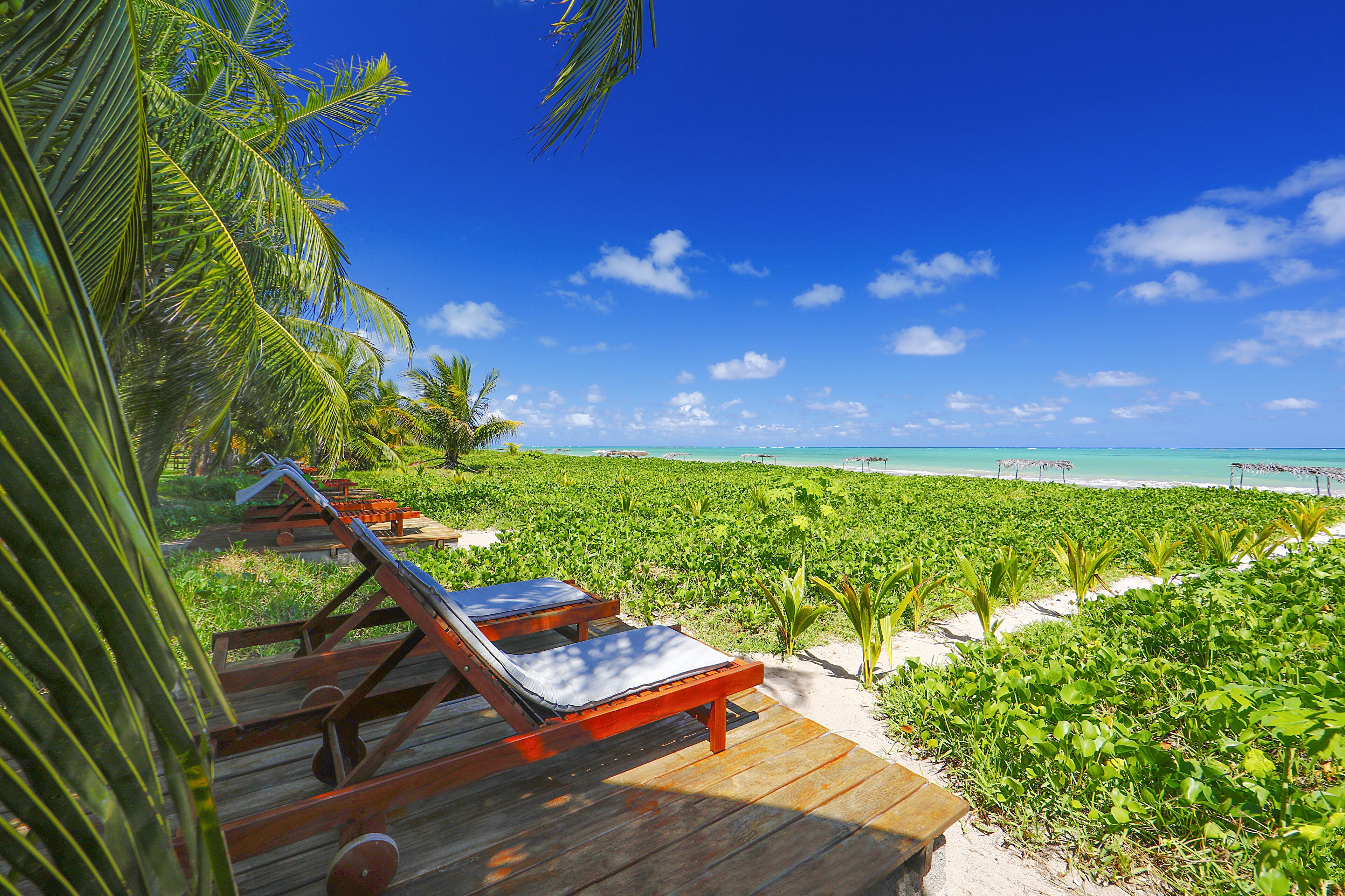 Private beach, white sand, sun loungers, beach umbrellas