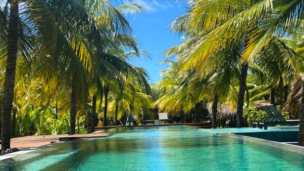 A clear pool surrounded by palm trees, with a coconut drink on the edge. - Villas Taturé (São Miguel dos Milagres)