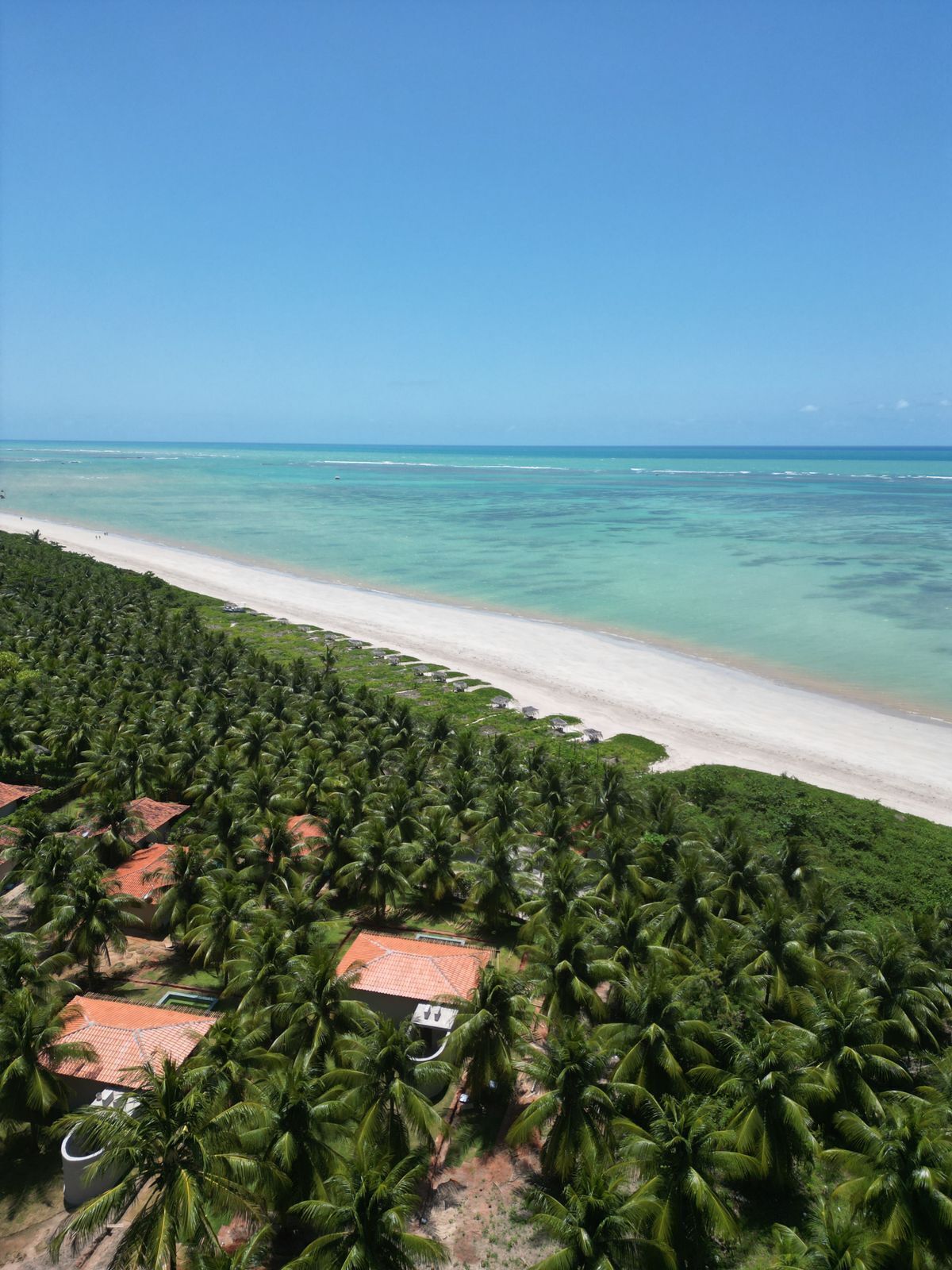 Zona costera con playa, palmeras y edificios con techos rojos.