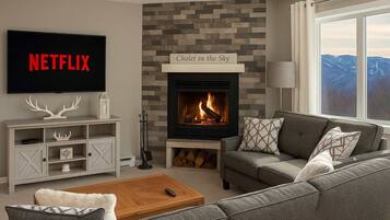 TV, fireplace, DVD player, books