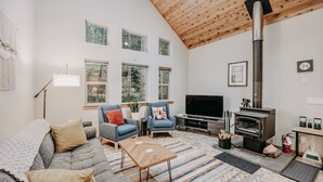 A cozy living room with a fireplace, two sofas, a coffee table, and a TV. - 52gs - Hot Tub - Wifi - Pets Ok - Wood Stove - Sleeps 6 2 Bedroom Home by RedAwning (Deming)