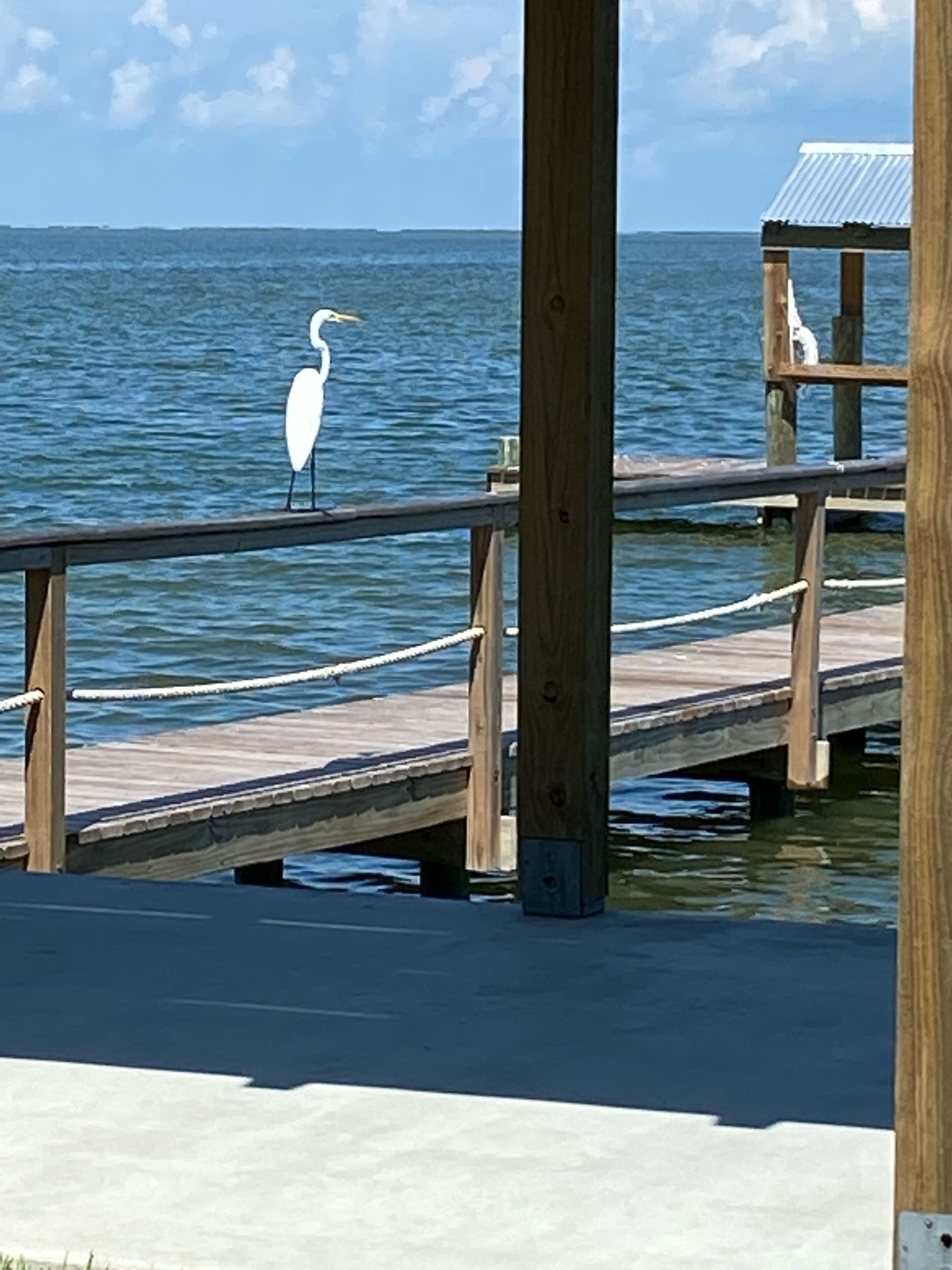 Un muelle de madera que se adentra en un cuerpo de agua, con un ave blanca posada sobre él.