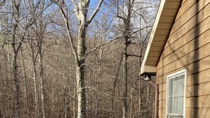 Une terrasse en bois avec une table et des chaises, entourée d’arbres.