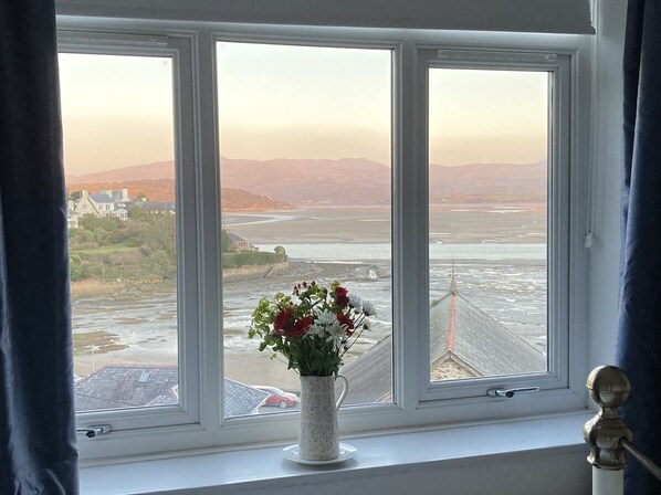 A window with a view of a coastal landscape, a vase with flowers, and a curtain.