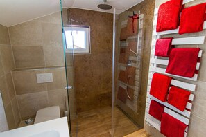 Shower, towels, toilet paper