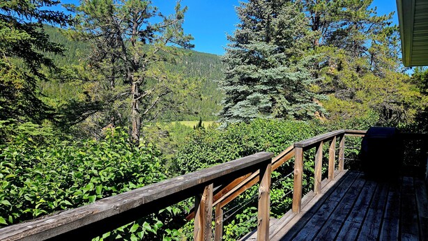 A wooden deck with a railing overlooking a forested area.