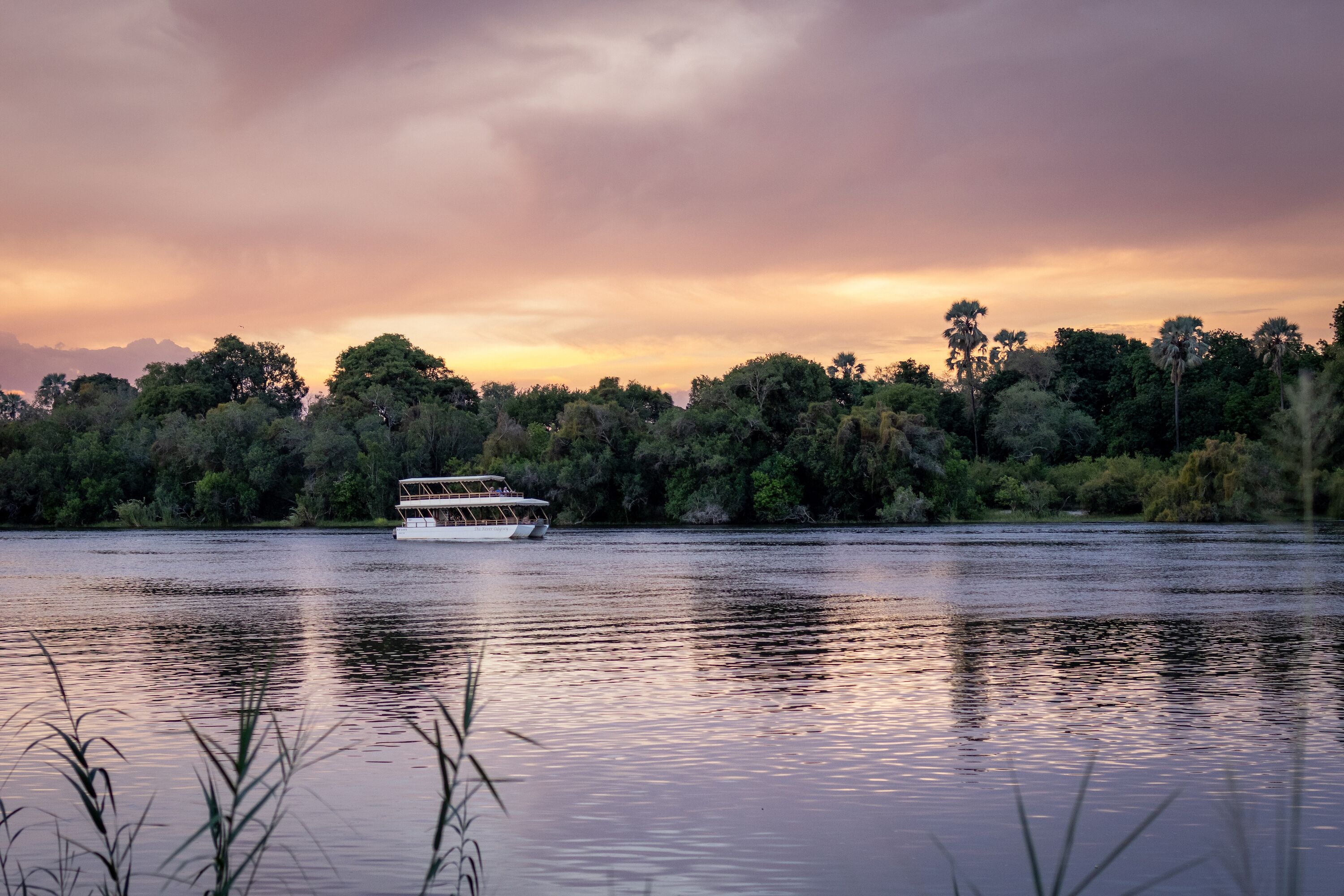 A boat on a calm river with dense trees on the banks.