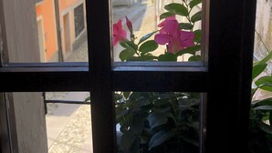 Unclassified image, 4 of 28, button - Casa dei Nonni (Baveno)