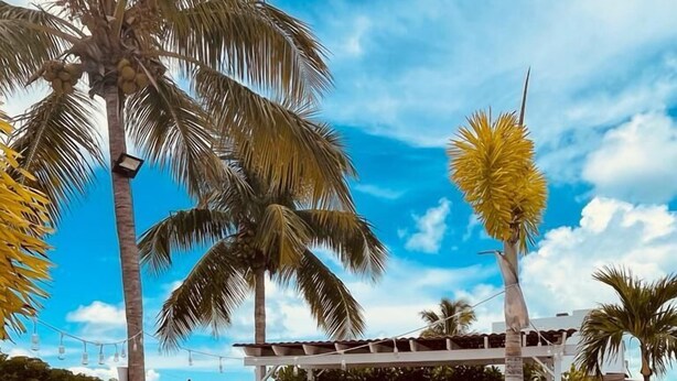 A beachside bar with a wooden structure, chairs, and palm trees. - Tropical Key Largo RV Getaway with Boat Ramp & Golf Cart (Key Largo)