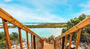 A wooden staircase leading to a coastal area with clear water and greenery.