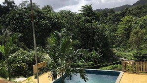 A swimming pool surrounded by lush greenery and a mountainous backdrop. - Tha Lagoon Spot (Port Antonio)