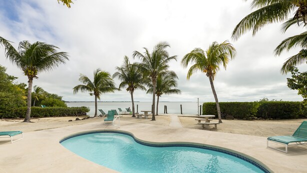 A swimming pool with lounge chairs, palm trees, and a view of the ocean.