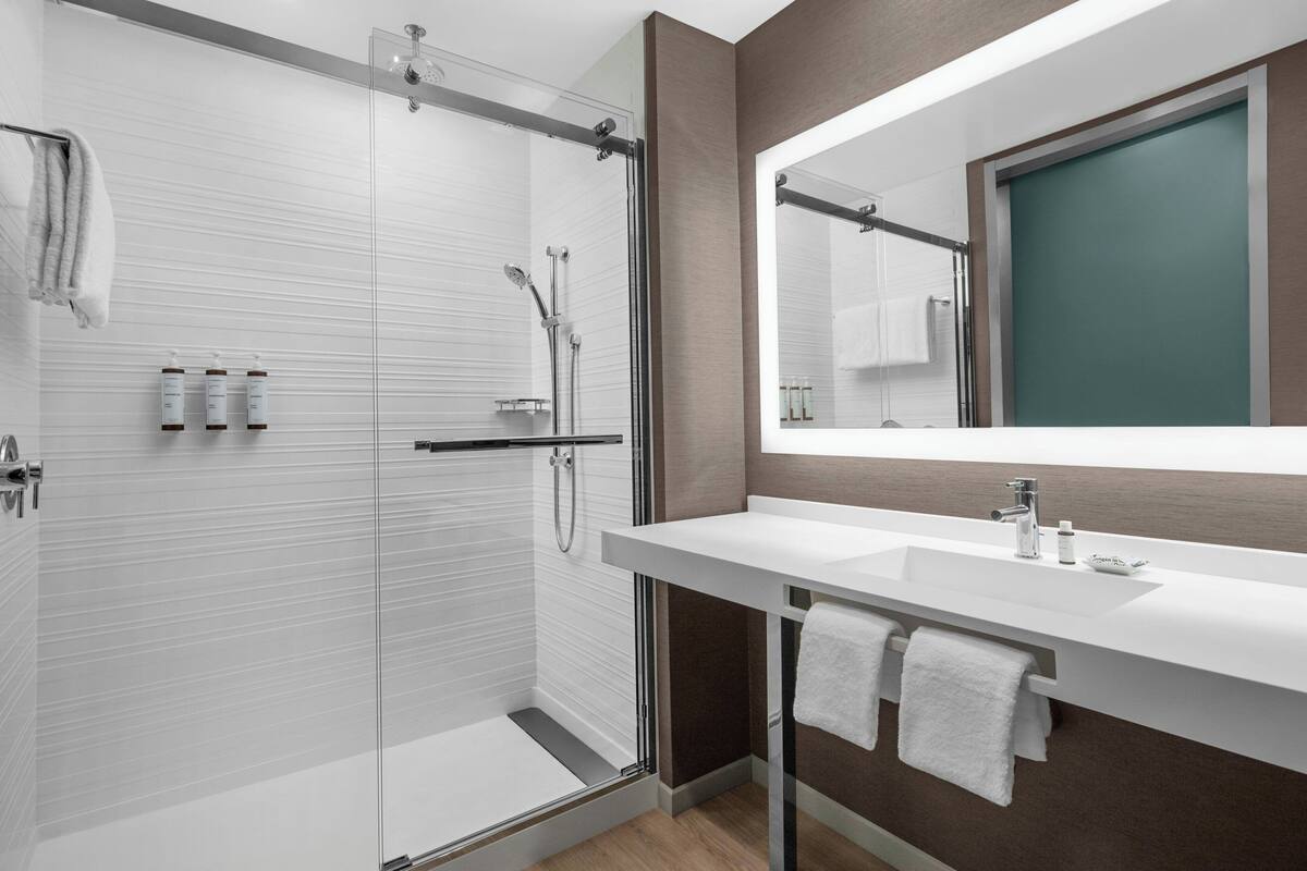 A modern bathroom with a glass shower enclosure, a white sink, and a large mirror.