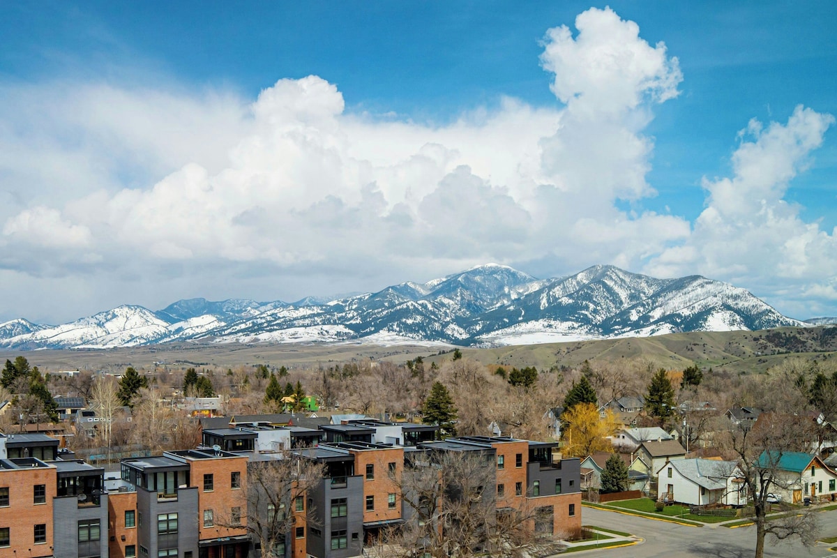 A residential area with modern buildings, a clear sky, and snow-capped mountains in the background.