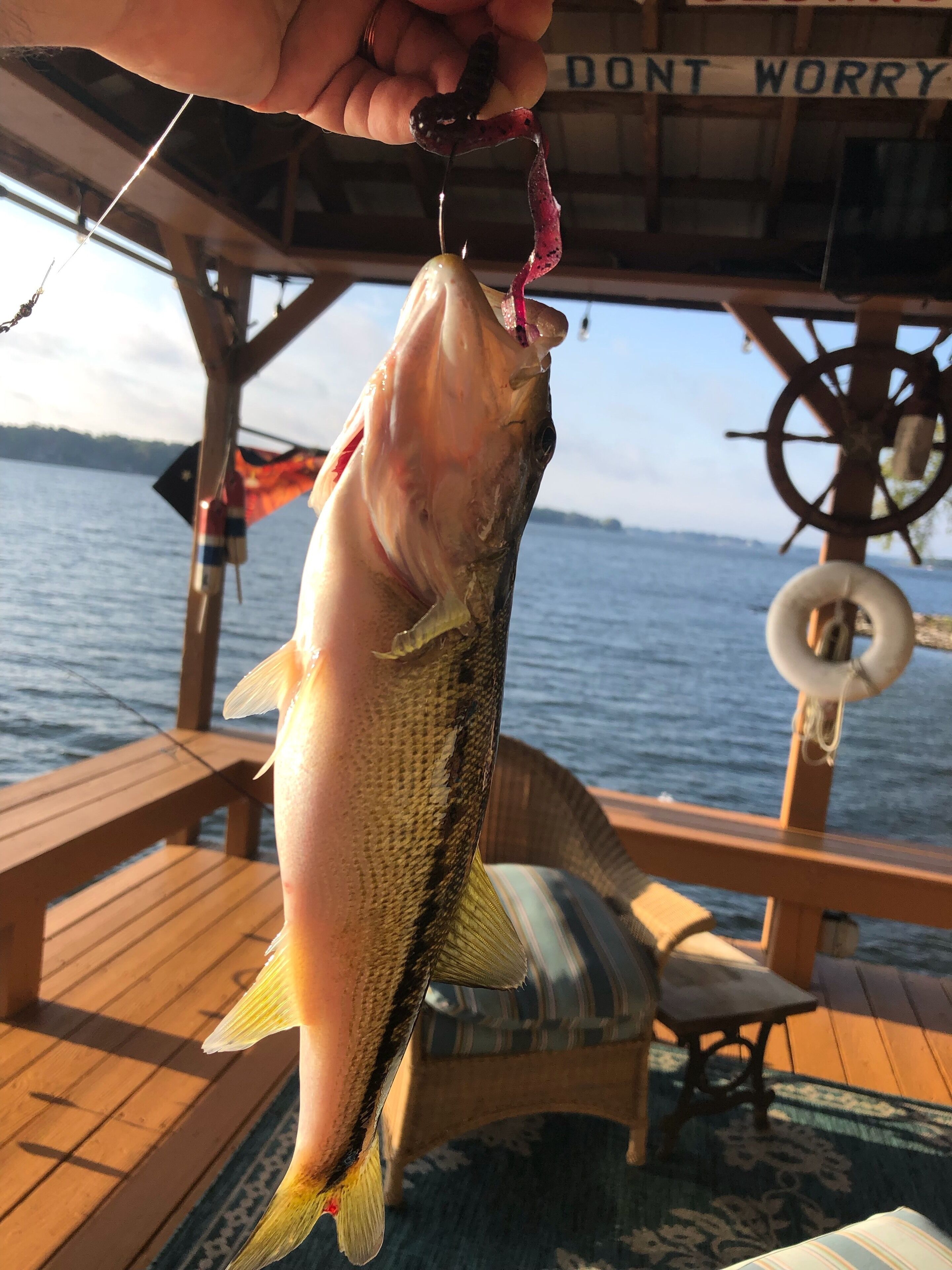 Un poisson tenu par une personne à bord d’un bateau, avec une pancarte indiquant « NE VOUS INQUIÉTEZ PAS » en arrière-plan.