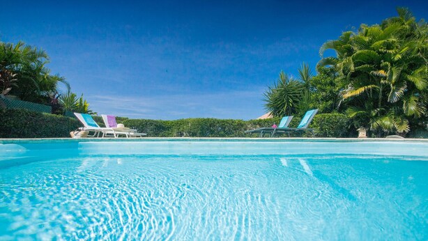 A clear blue pool with lounge chairs and palm trees. - Colibri Trotteur (Le Diamant)