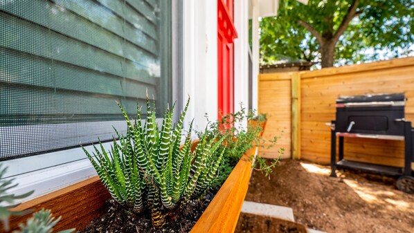 Property grounds - SA Urban Tiny House (San Antonio)