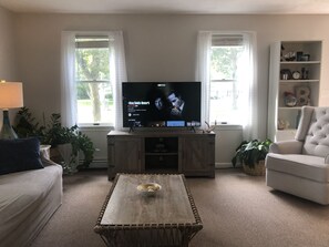 Smart TV, fireplace, video games, DVD player