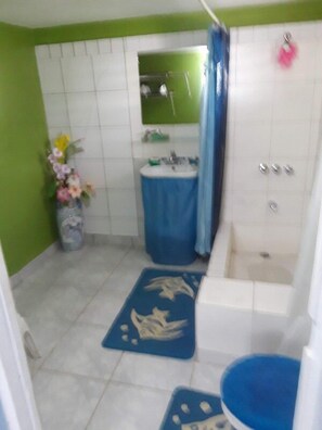 Single Room | Bilik Mandi | Hulu semburan mandi hujan, tuala disediakan, sabun, syampu 