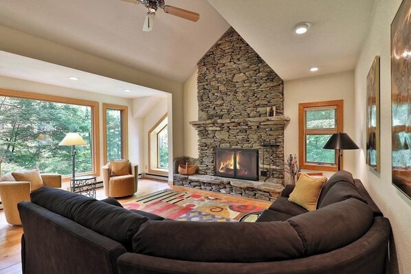 TV connectée, cheminée, livres