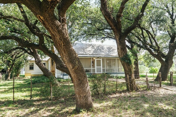 A house surrounded by large trees in a grassy area.