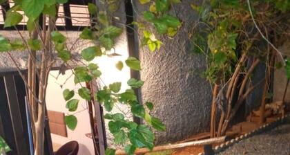 Hotel Br 153